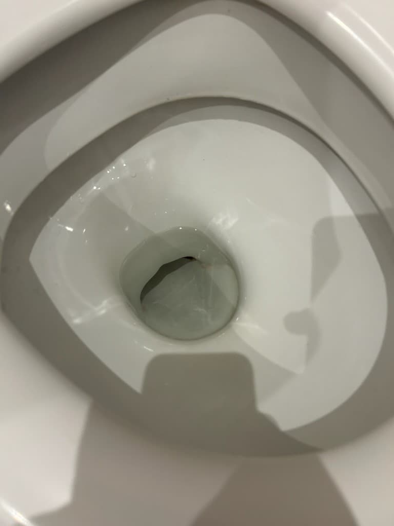 Wnętrze muszli klozetowej Wnętrze muszli klozetowej przed serwisem uszczelnienia.
