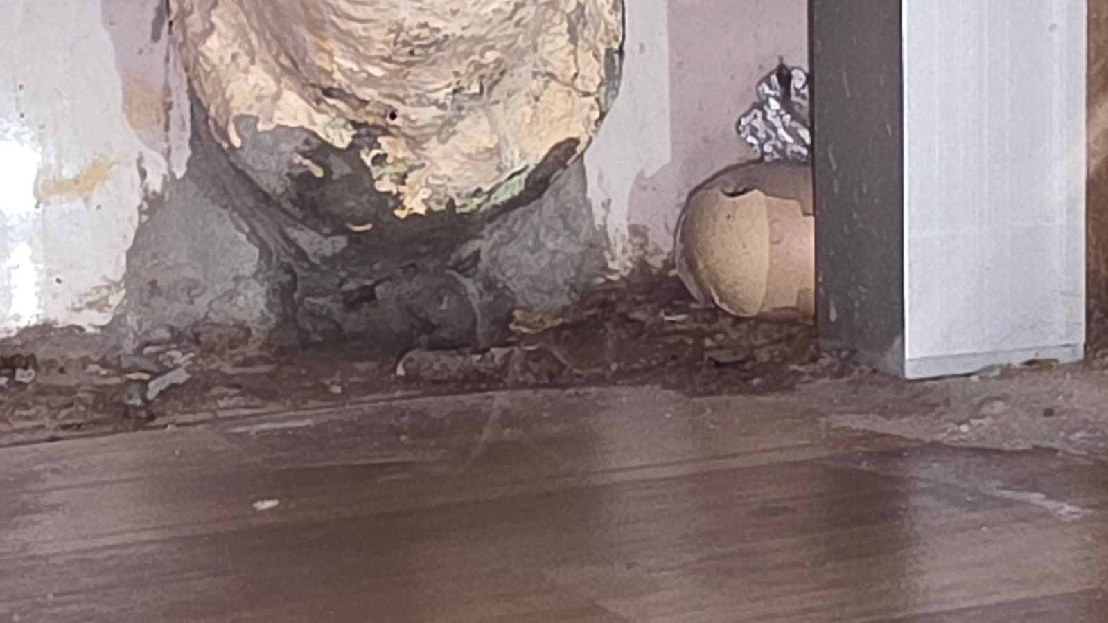 Naprawa wycieku w kuchni na Paderewskiego – realizacja