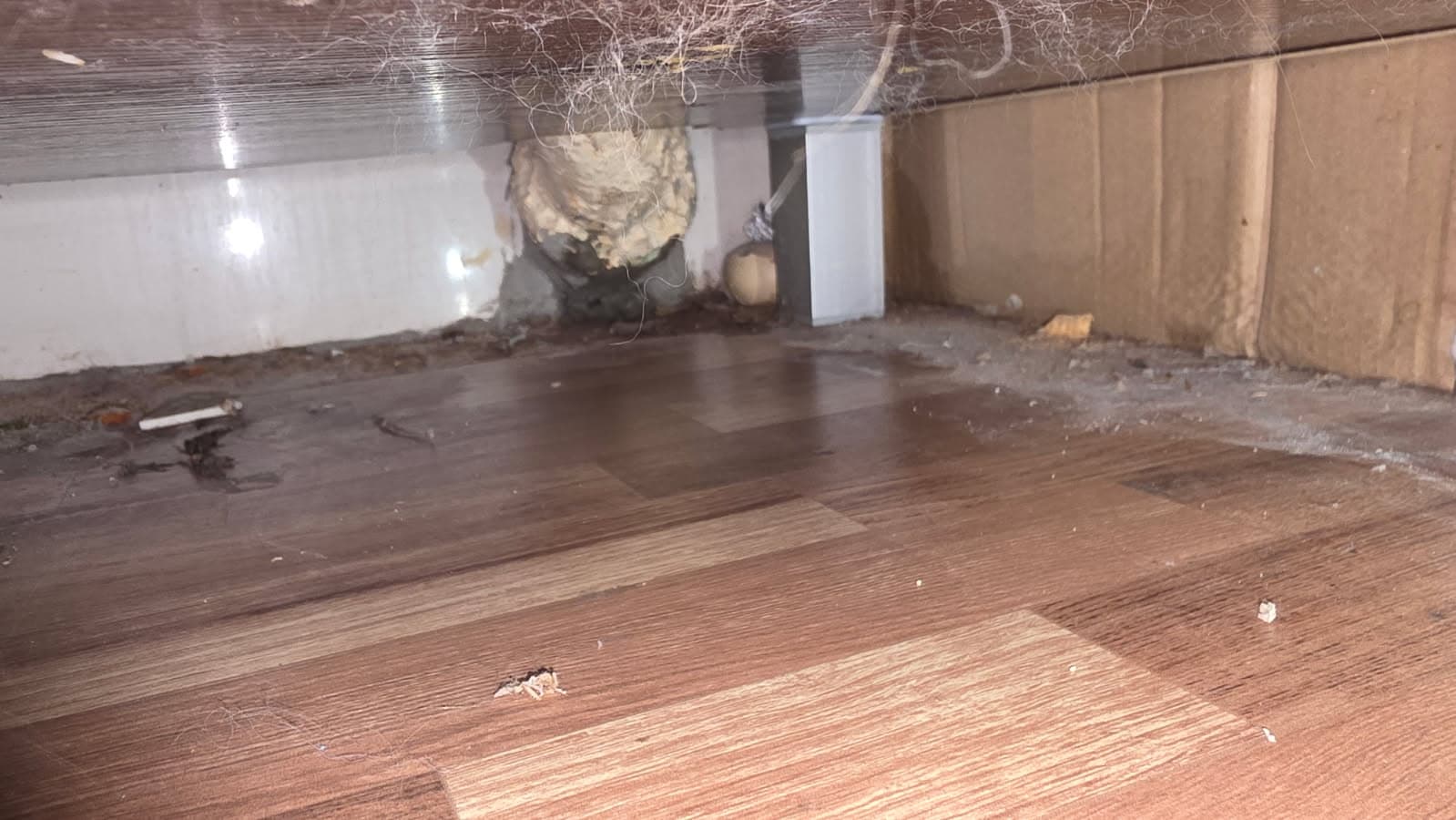 Wyciek pod szafką Miejsce wycieku i zabrudzona podłoga pod szafką kuchenną