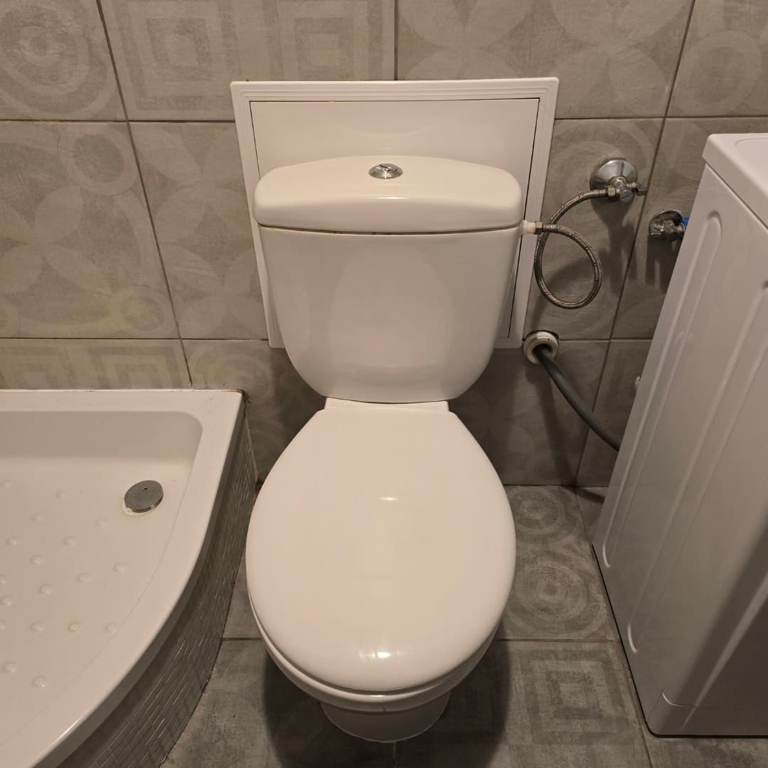 Widok ogólny łazienki Widok ogólny toalety ze spłuczką i kabiną prysznicową obok