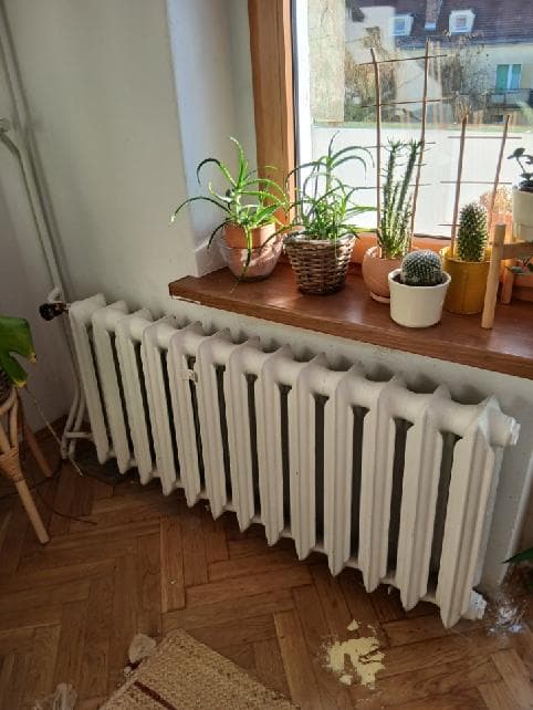 Żeliwny grzejnik podokienny Stary żeliwny grzejnik pod dużym oknem z kilkoma roślinami doniczkowymi.