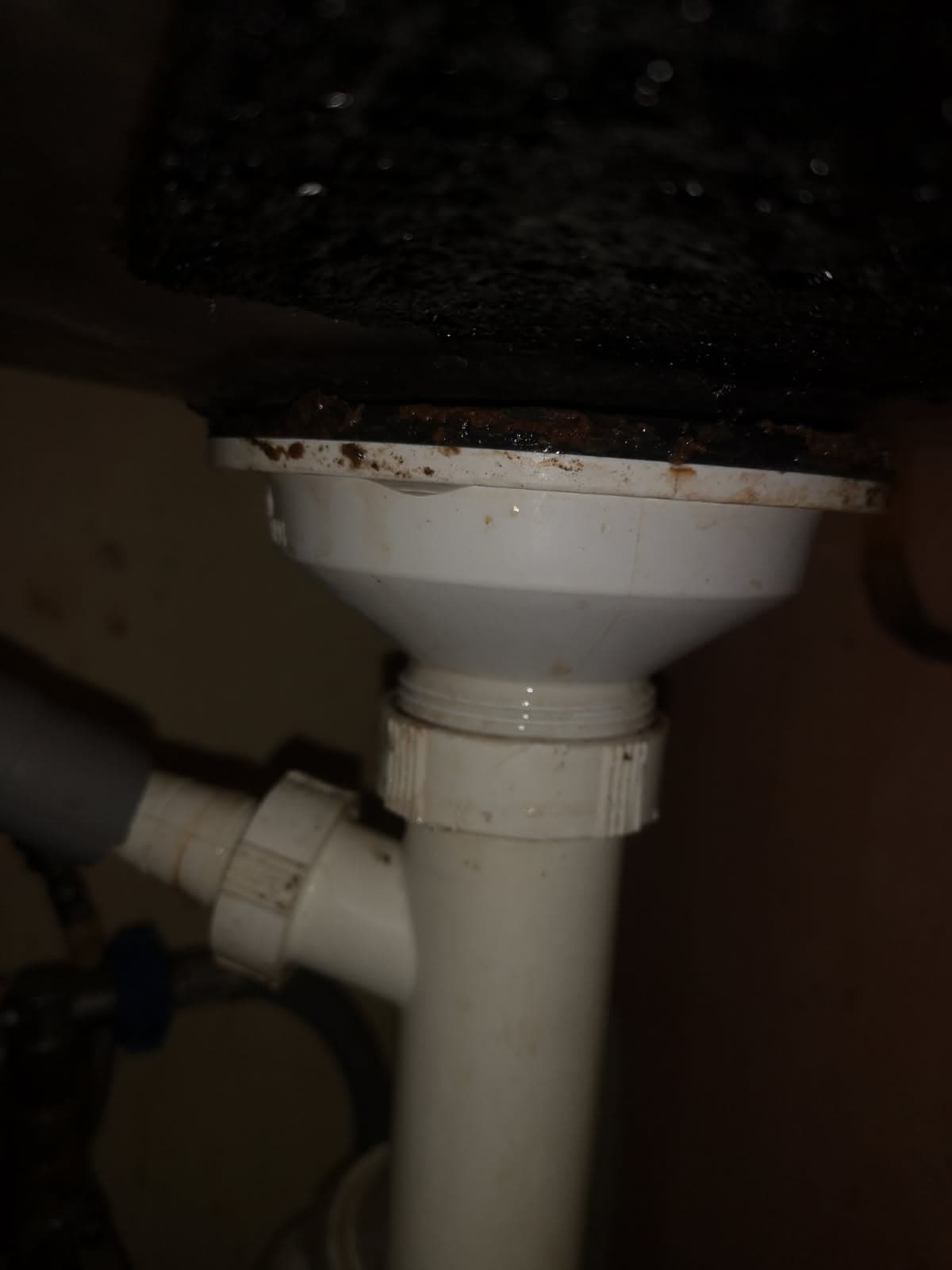 Wymiana syfonu pod zlewem we Wrocławiu – realizacja