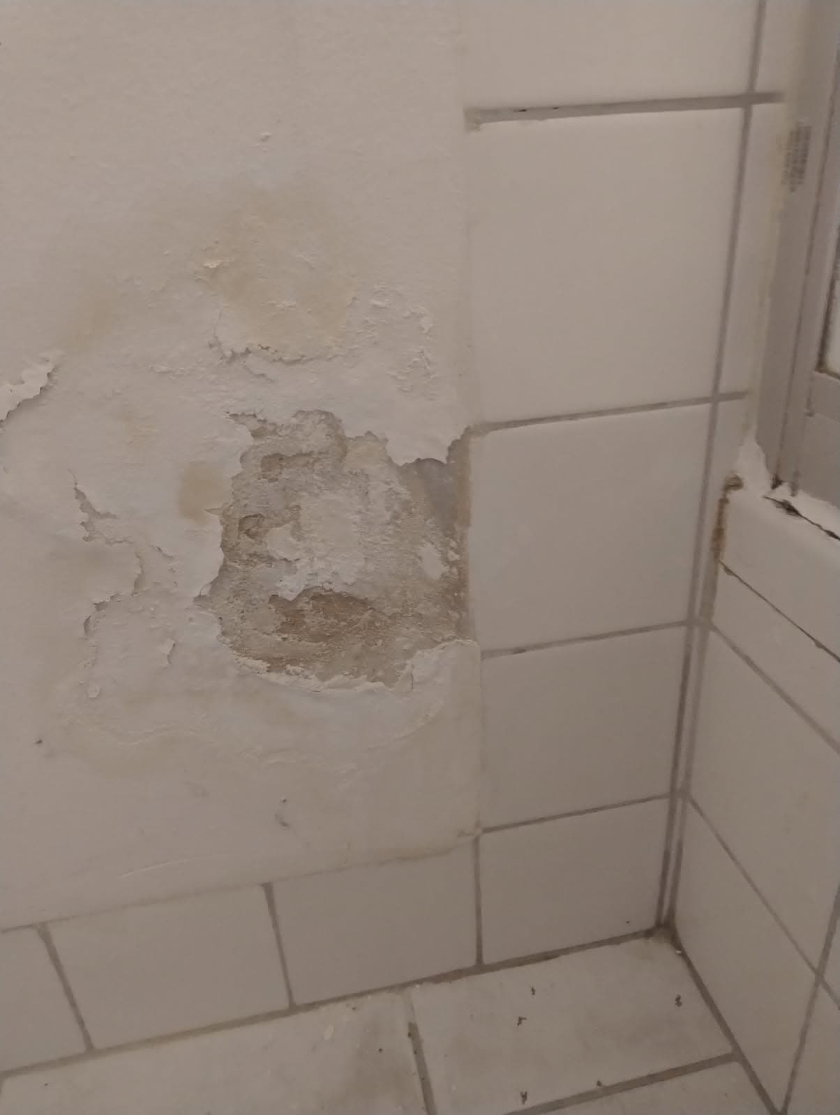 Przeciek przy kabinie Detal przecieku na ścianie przy kabinie prysznicowej
