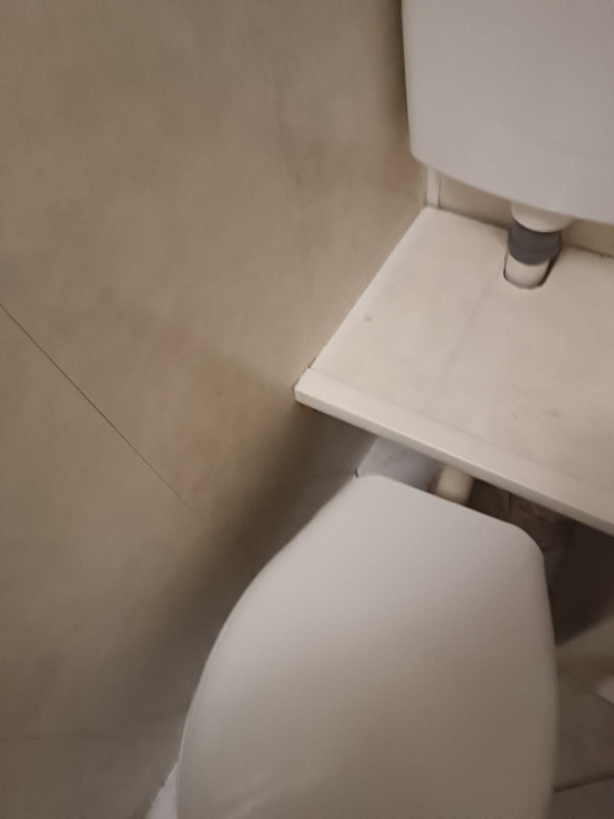 Muszla WC i podejście kanalizacyjne Zbliżenie na muszlę WC i podejście do kanalizacji