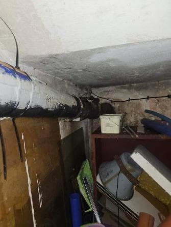 Uszkodzona rura przed wymianą Fragment piwnicy z uszkodzoną rurą przed wymianą na nowy materiał.