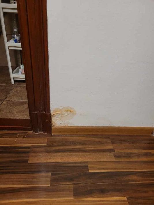 Grzyb na ścianie przedpokoju Ściana w przedpokoju z widocznym grzybem od strony łazienki